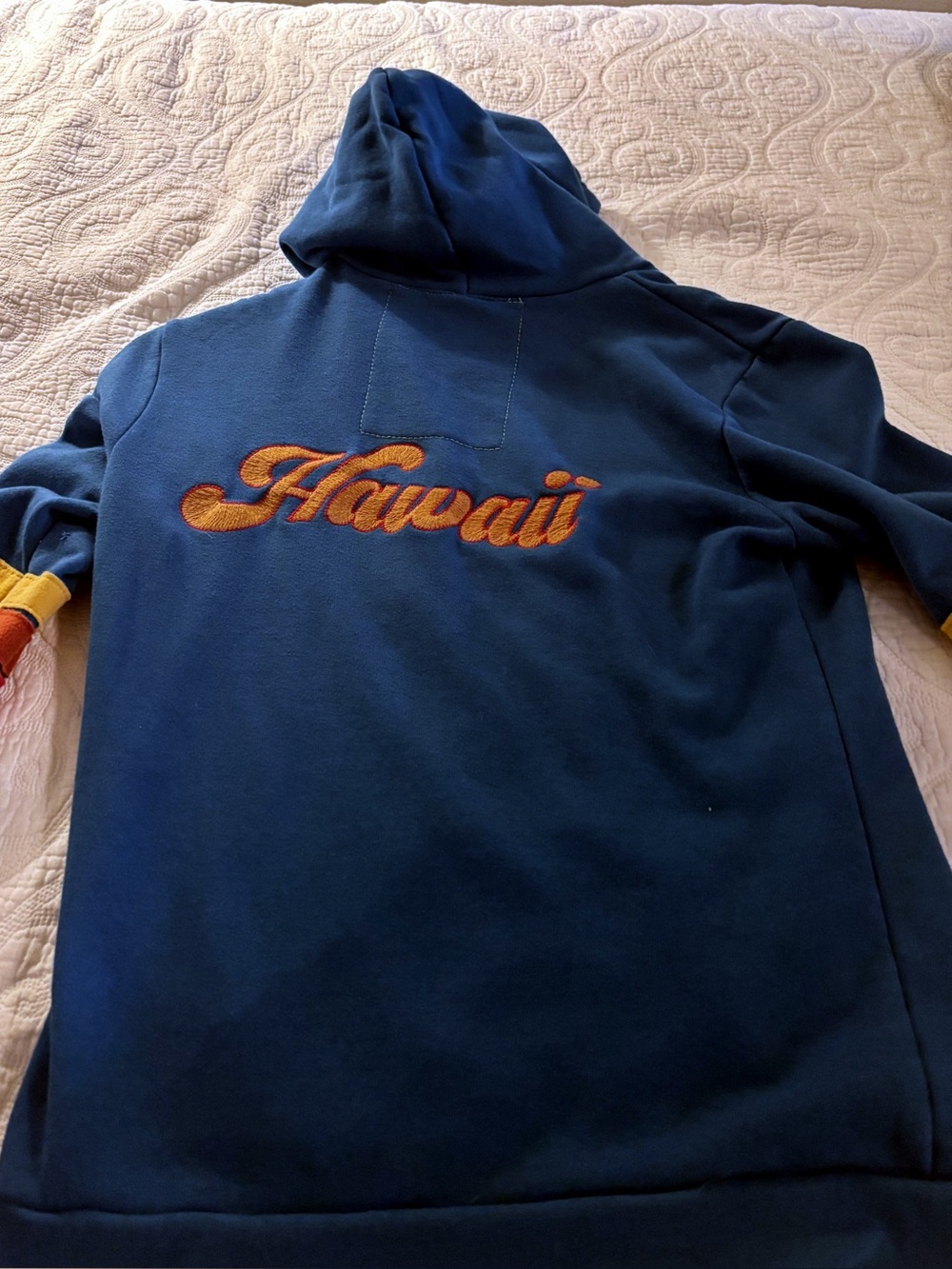 Aviator Nation Navy Zip Hoodie with Red and Yellow Sleeve Stripes